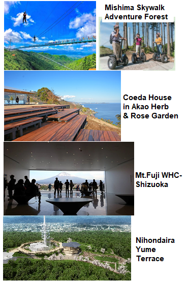 2019 News & Highlights in Shizuoka