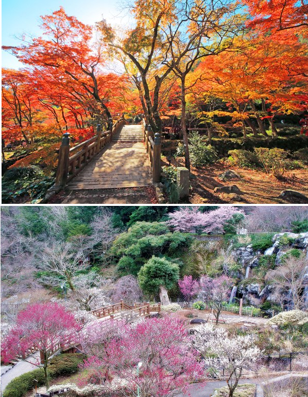 2018 Vol.10 – 5D/4N Autumn – Winter (In/Out Tokyo)